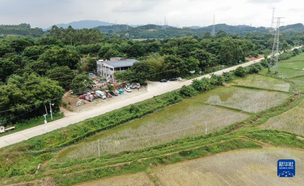 微乐斗地主下载安装