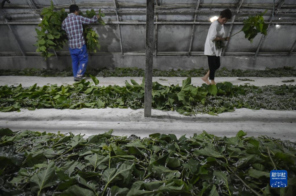 新澳门游戏网站入口