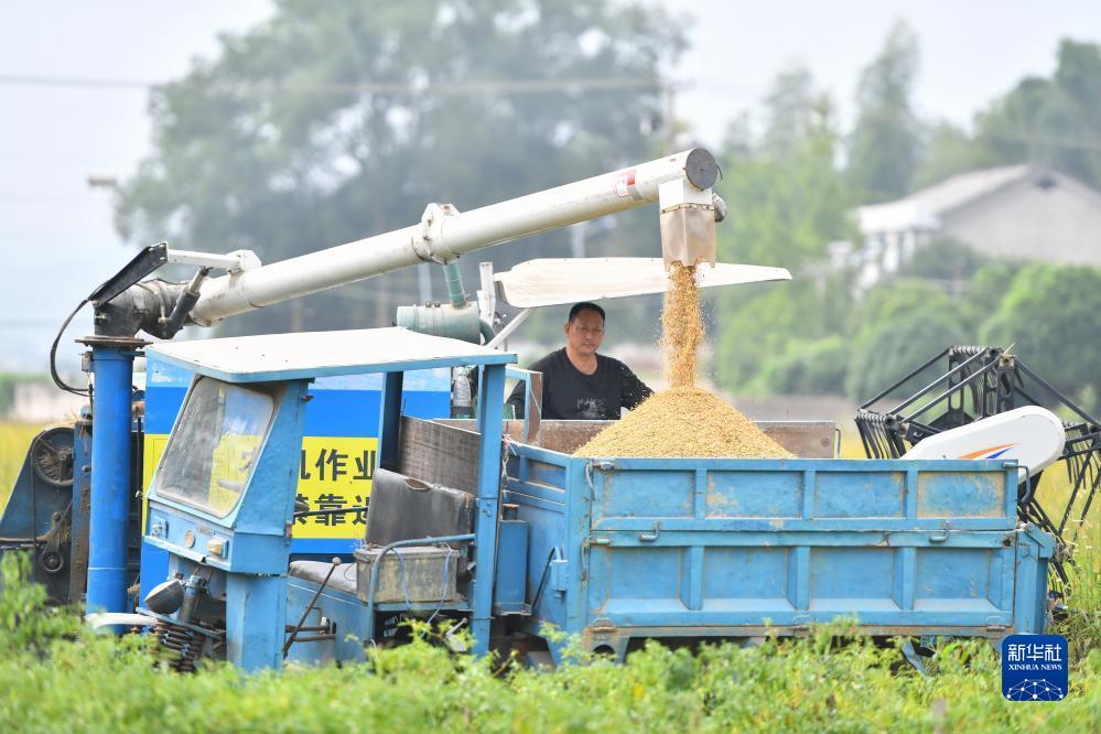 梭哈游戏哪里有